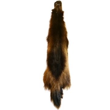 Premium Label Wolverine Pelt #15805