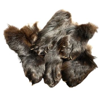 Wolverine Paw