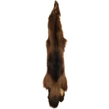Premium Label Wolverine Pelt #35075