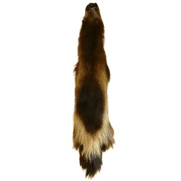 Premium Label Wolverine Pelt #25765