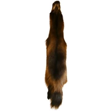 Wolverine Pelt #32355