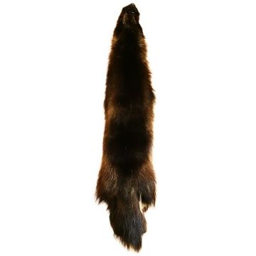 Wolverine Pelt #35025