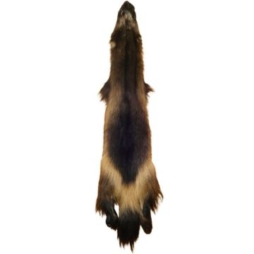 Wolverine Pelt #35045