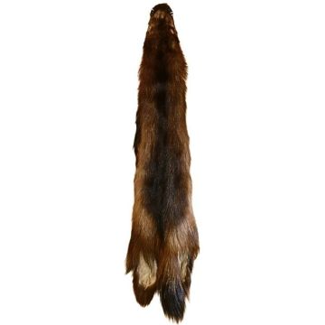 Wolverine Pelt #35085