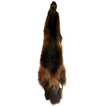 Wolverine Pelt #45055