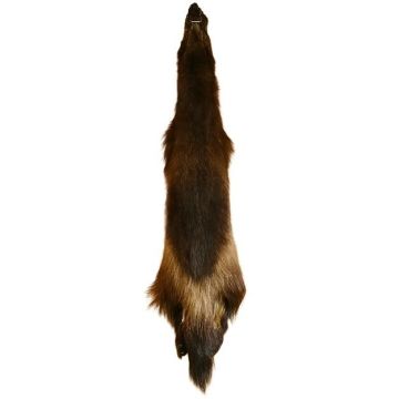 Wolverine Pelt #55055