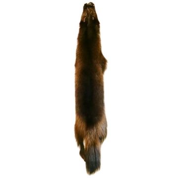 Premium Label Wolverine Pelt #54995