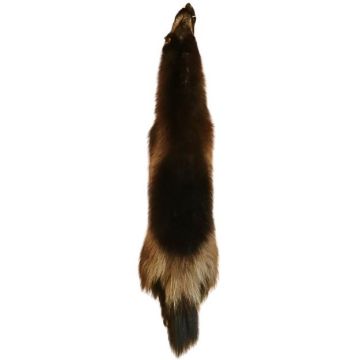 Premium Label Wolverine Pelt #54985