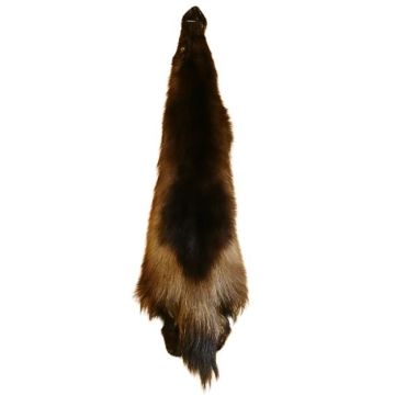 Premium Label Wolverine Pelt #55085