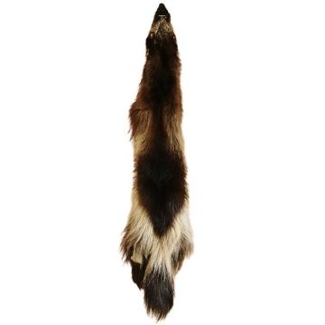 Wolverine Pelt #55565