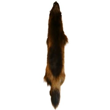 Wolverine Pelt #65055