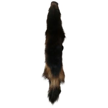 Wolverine Pelt #65075