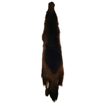 Wolverine Pelt #65095