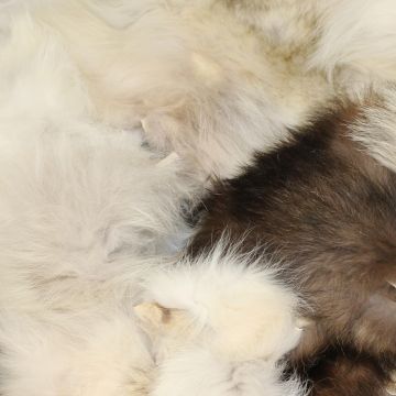 Wolf Fur Trimmings Scraps Pieces (one Pound)