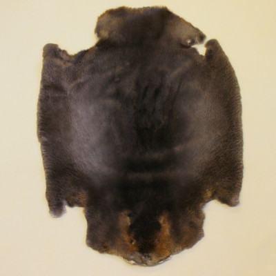 Beaver Pelt - Sheared, Natural