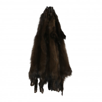 sbl1020 Glacier Wear Sable Pine Marten Fur Pelt Hide Golden