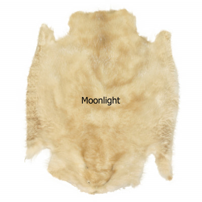 Beaver Pelt - Moonlight