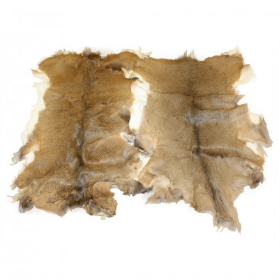 Whitetail Deer Hide With Hair-on 