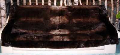 Otter Fur Blanket - Two Sizes