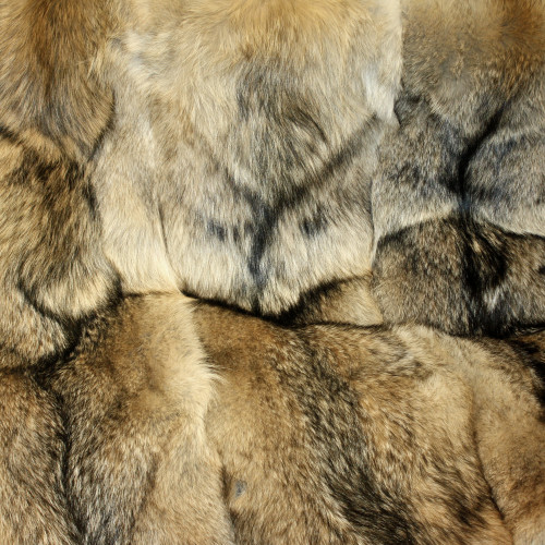 North Eastern Coyote Fur Throw Blanket - 66" X 72"