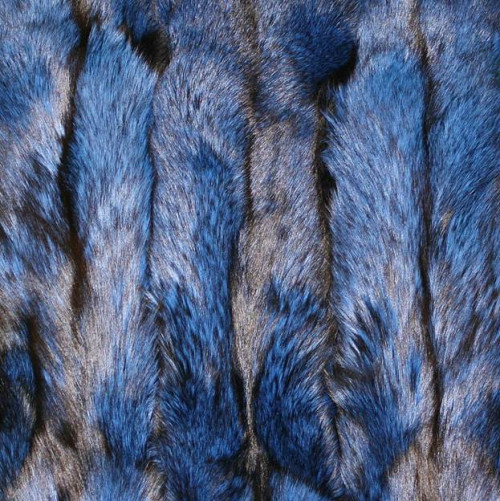 Premium Label Silver Fox Pelt - Blue Dyed