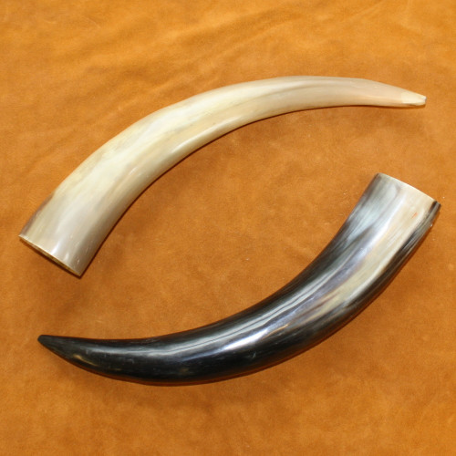 Polished Buffalo Horn Caps
