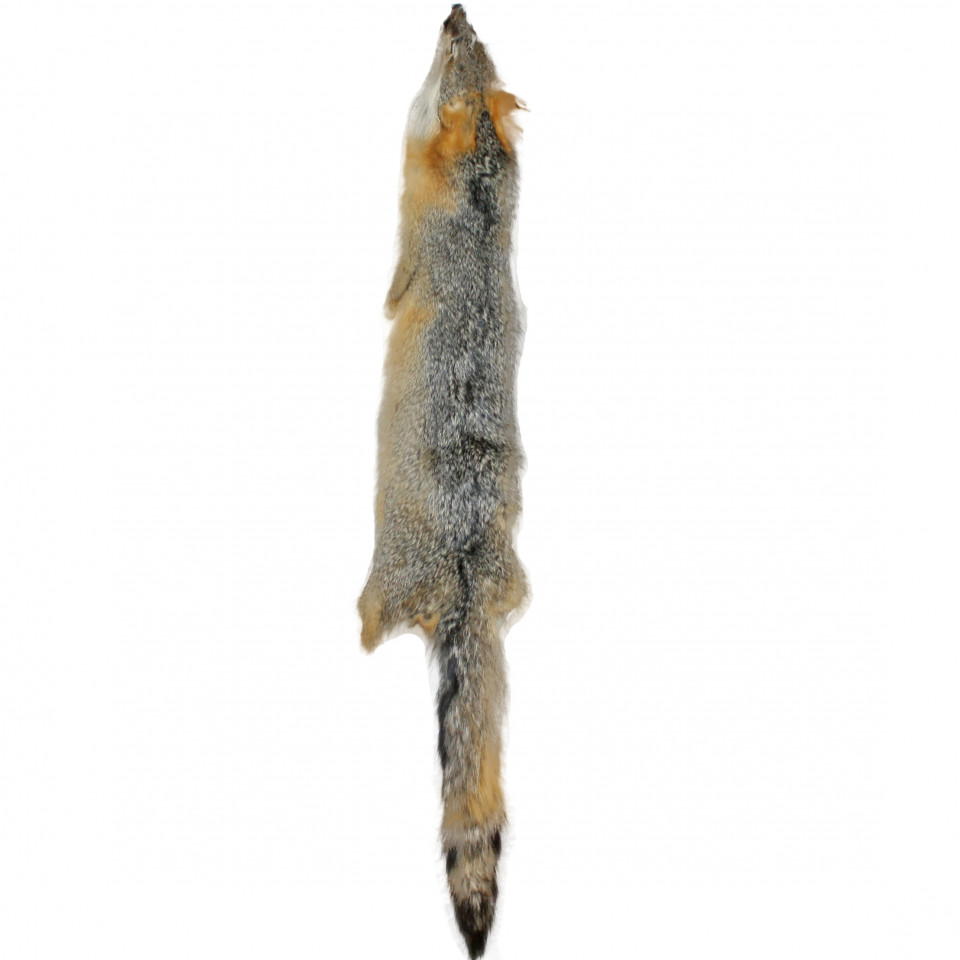 - Hide/Fur Minnesota Brand Professionally Tanned Grey Fox Tails GFX-TL1 