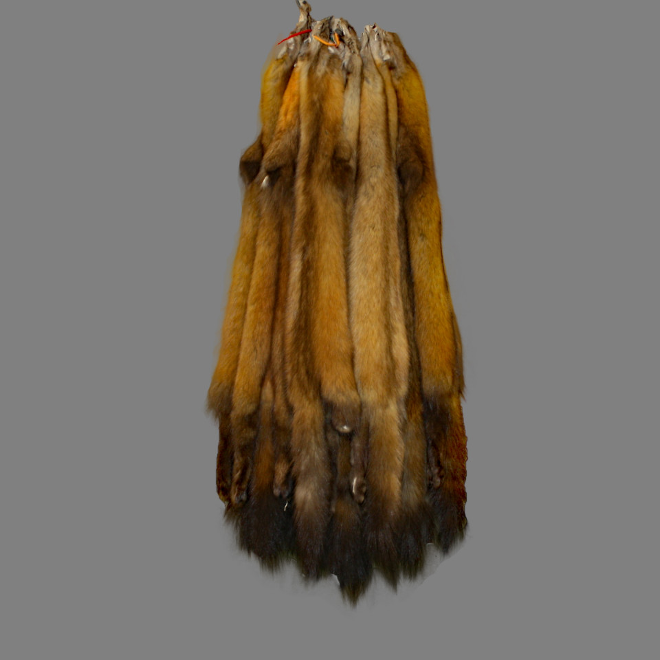 sbl1020 Glacier Wear Sable Pine Marten Fur Pelt Hide Golden