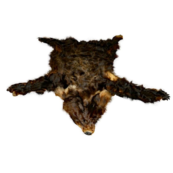 【KOOLOSET】Grizzly Bear Fur Hood Padding GrizBackcopy_600x.jpg?v=1605584010