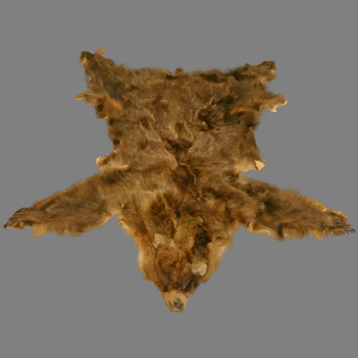Glacier Wear - Grizzly Bear Pelt For Sale