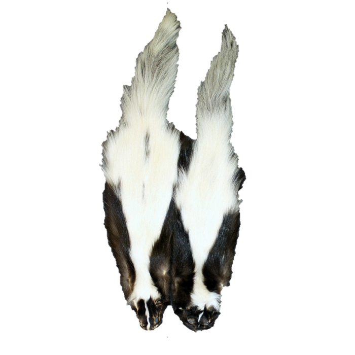 トップス share spirit skunk fur best sheep wool Skunk Fur Pelt - SL Fur & Leather