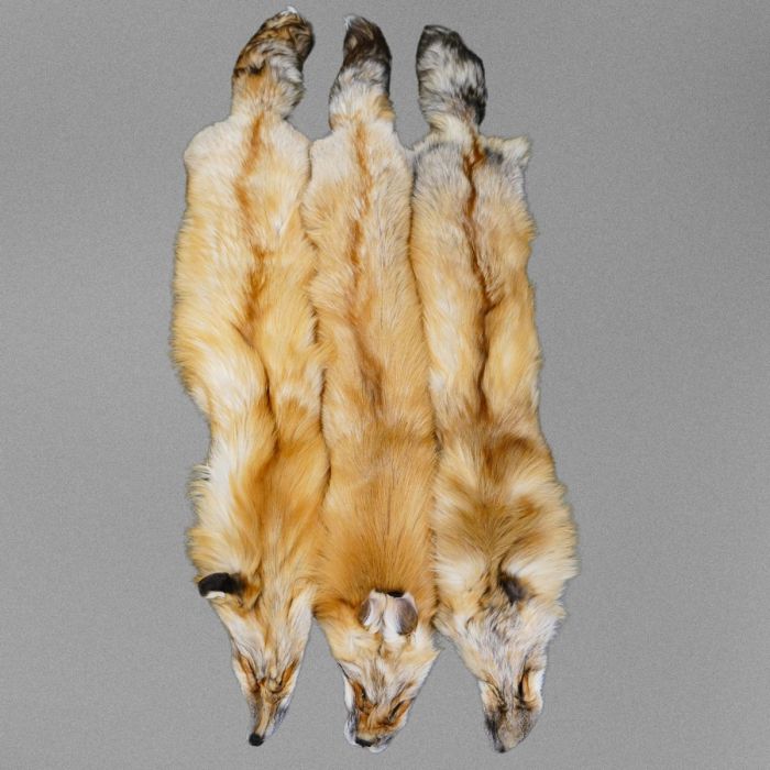 Glacier Wear - SAGA Gold Fox Pelts For Sale