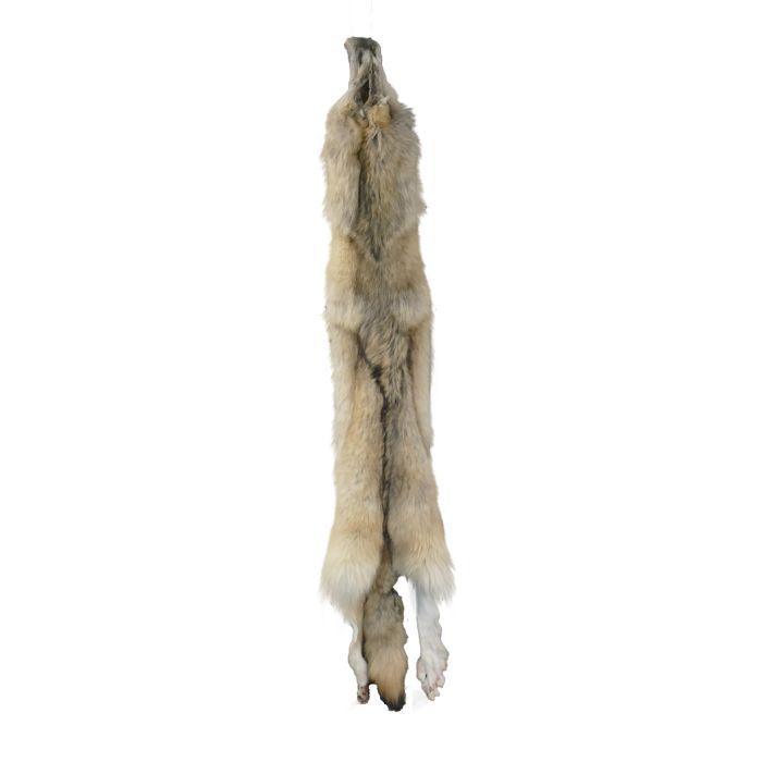 Wolf pelt jacket cheap