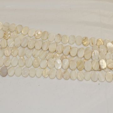 Shell Beads #1085