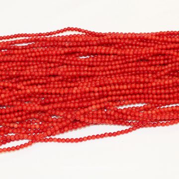 Coral Beads #1100