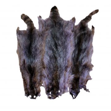 Raccoon Pelt - Indigo Dyed