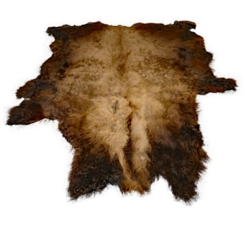 First Quality Buffalo Bison Robe/Hide/Rug - #1755
