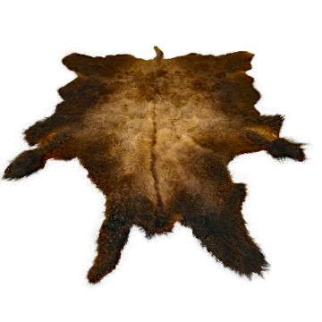 First Quality Buffalo Bison Robe/Hide/Rug - #1754