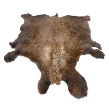 First Quality Buffalo Bison Robe/Hide/Rug - #1739