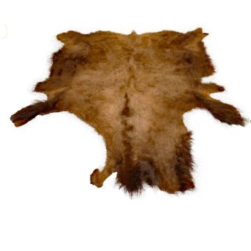First Quality Buffalo Bison Robe/Hide/Rug - #1752