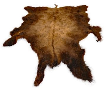 First Quality Buffalo Bison Robe/Hide/Rug - #1753