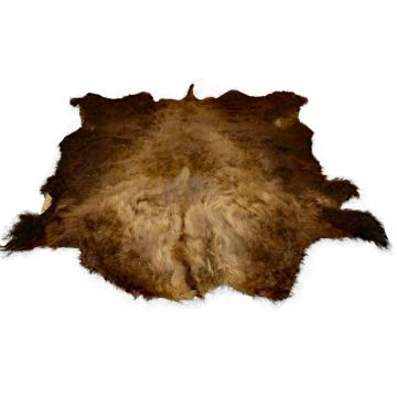 First Quality Buffalo Bison Robe/Hide/Rug - #1756