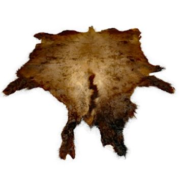 First Quality Buffalo Bison Robe/Hide/Rug - #1757