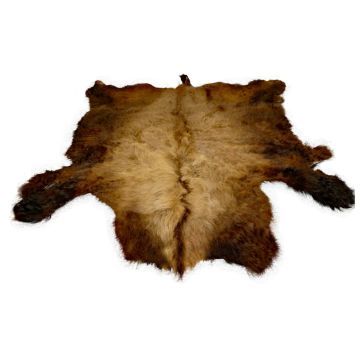First Quality Buffalo Bison Robe/Hide/Rug - #1758