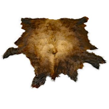 First Quality Buffalo Bison Robe/Hide/Rug - #1759