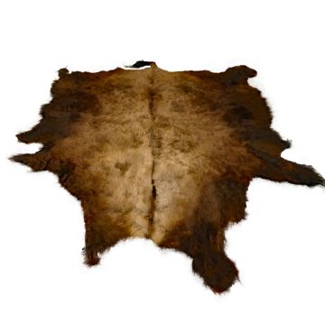 First Quality Buffalo Bison Robe/Hide/Rug - #1760