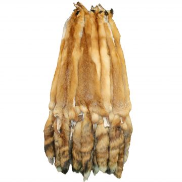 North East/Central Wild Red Fox Pelt