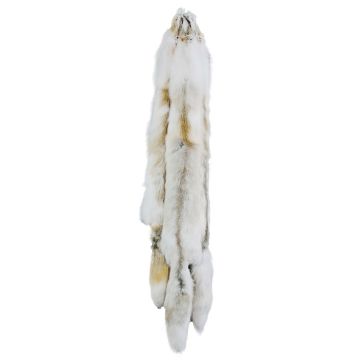 Premium Label Arctic Golden Island Fox Fur Pelt 