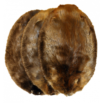 Beaver Pelt - Western 