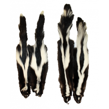 Skunk Pelt - Extra Wide Stripe